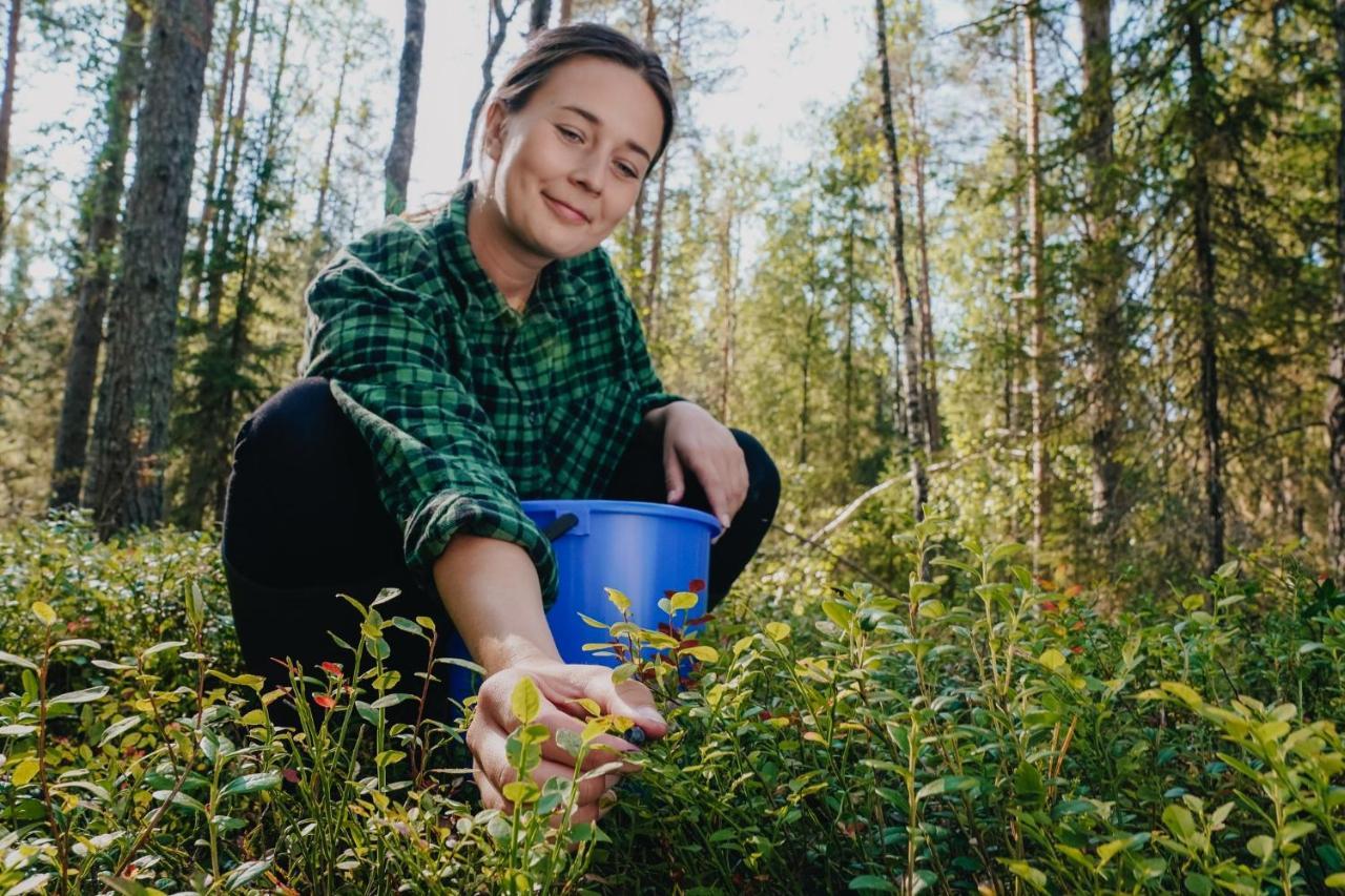 Apukka 4* Rovaniemi